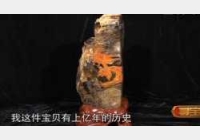 20121221����ҕ�l�͹Pӛ:���M(j��n)���(��),����,�̭t,�໨ƿ,ľ��ʯ