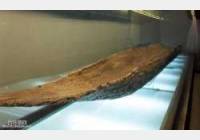 20141027�����n��ҕ�l�͹Pӛ:�����ͳ�,��������Ĺ,���`����