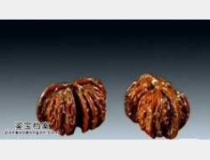 20141015�A�ĊZ��ҕ�l�͹Pӛ:�������,�B�w����,�Ƥ,ـ��Ƥ